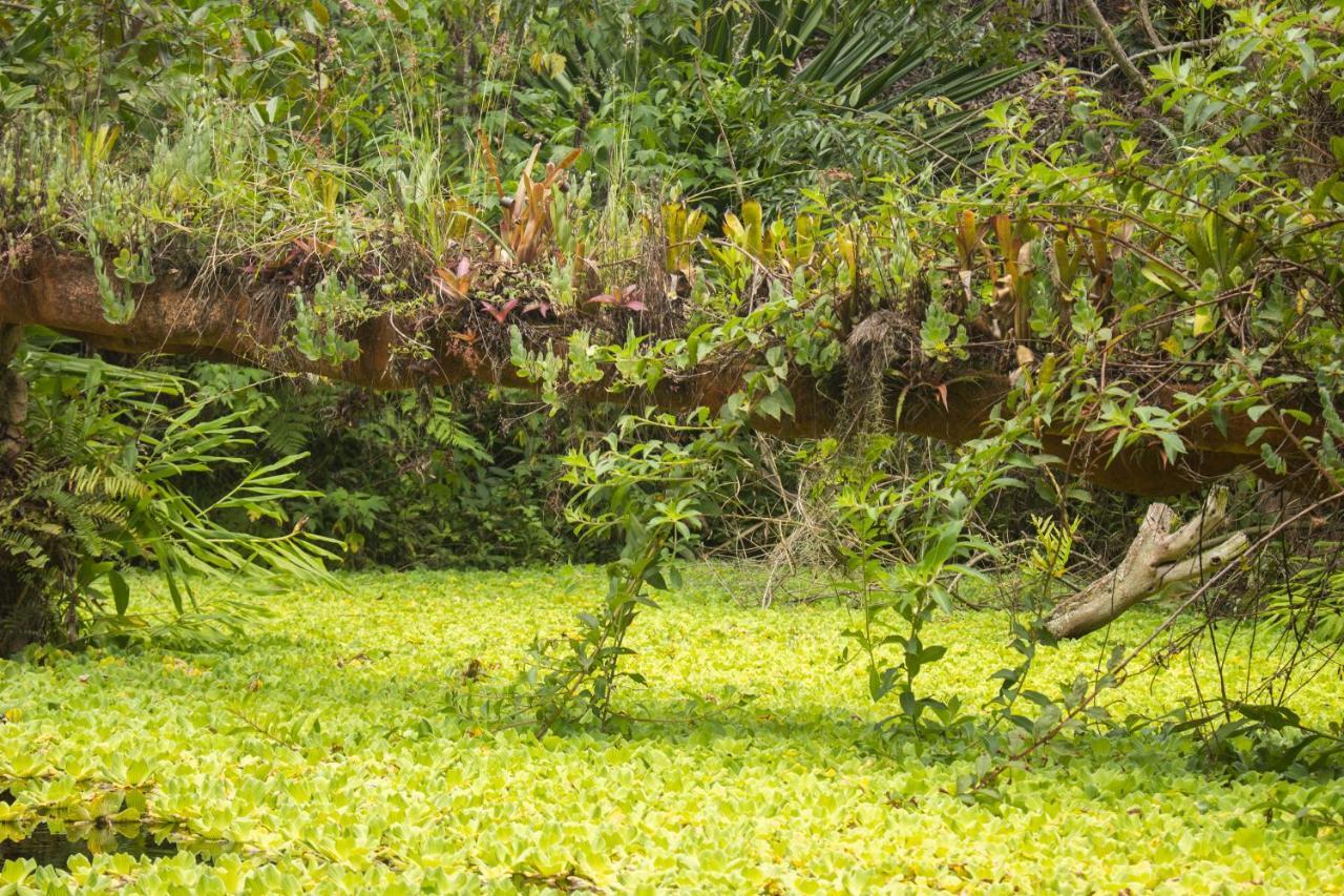 Pousada Flor De Acucena Igatu Exteriör bild